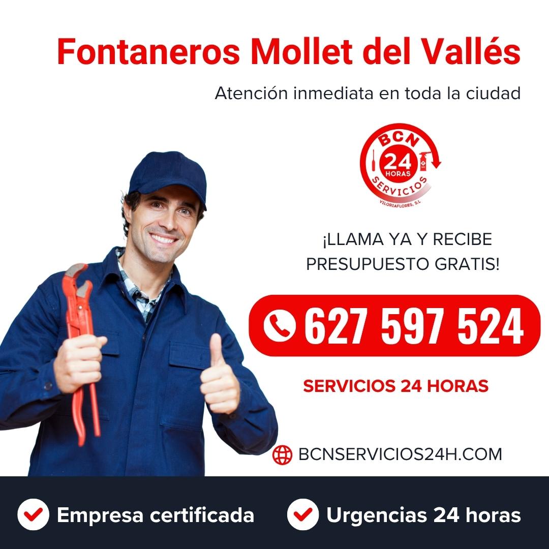 Fontanero Molleto del Vallés