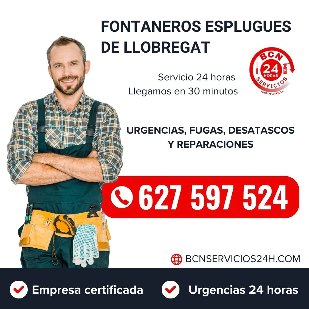 Fontaneros esplugues de llobregat (1)